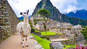 Machu Picchu por Tren 1 Día